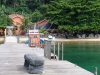 DSC00500
