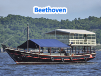 Escuna Beethoven